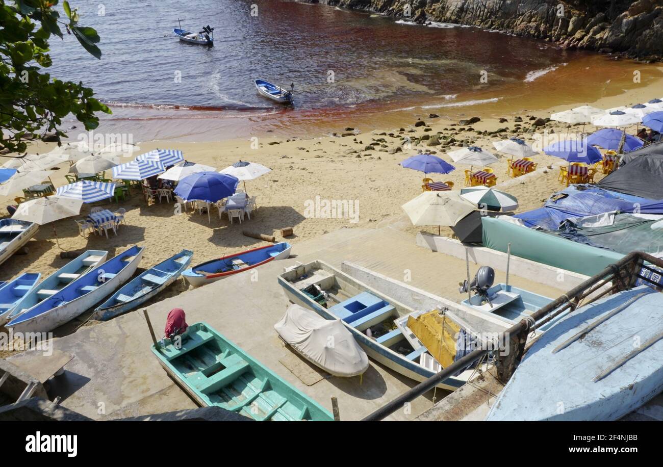 Red tide at Playa L'Angosta on the Pacific Ocean, Acapulco, Mexico. Stock Photo