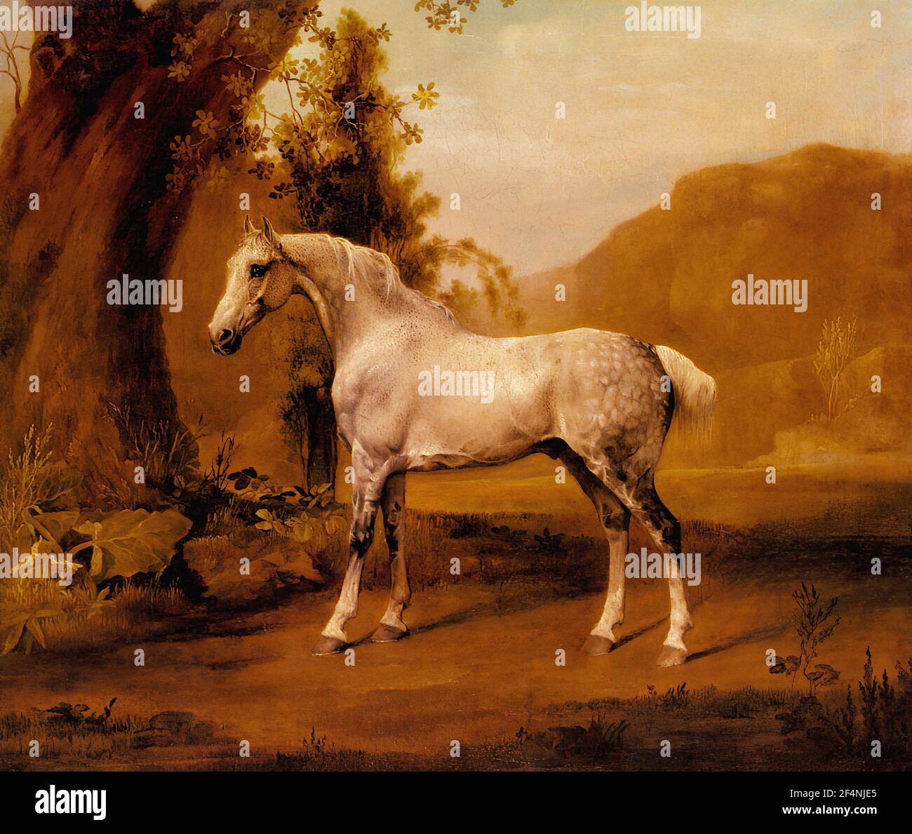 George Stubbs - Grey Stallion Landscape Stock Photo