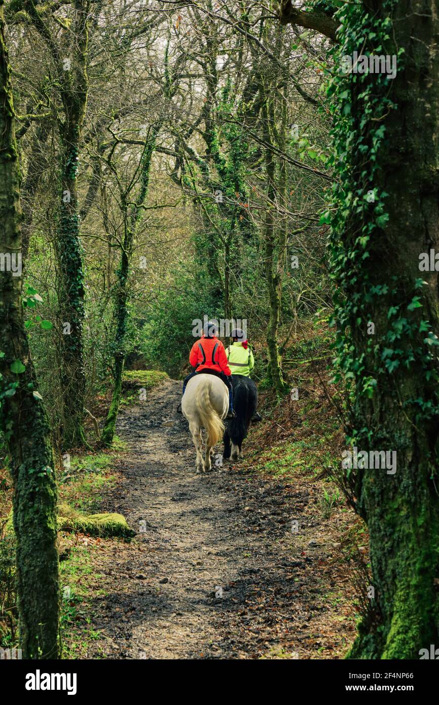 Horse riders in Trinity Hill Local Nature Reserve, Devon Stock Photo