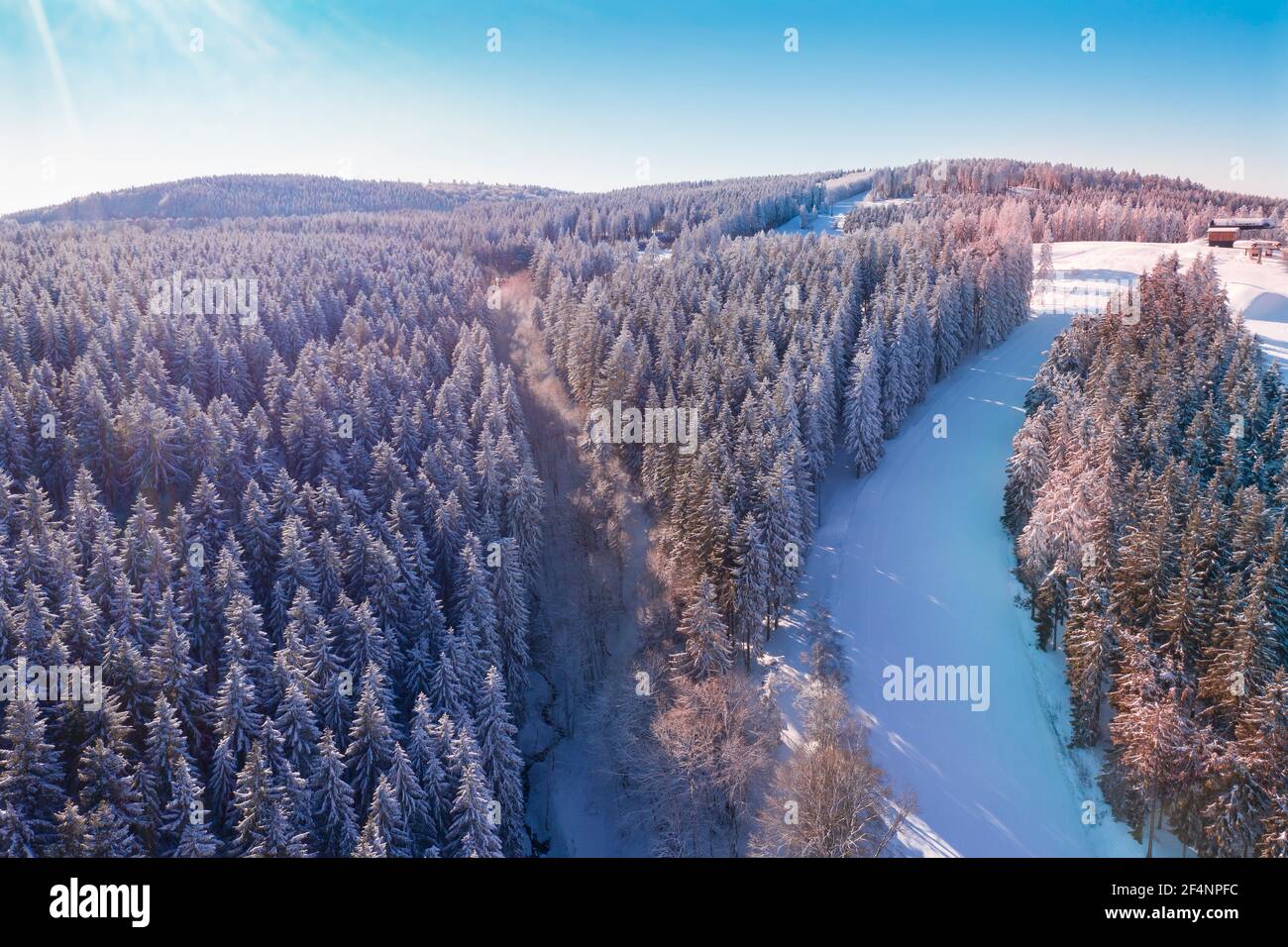 Air view shows forest of snow covered spruces. A ski slope crosses the winter forest. Beautiful winter weather with sun and snow. Stock Photo