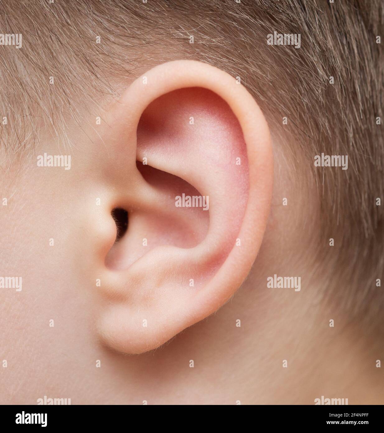 Close up shot of baby ear Stock Photo Alamy