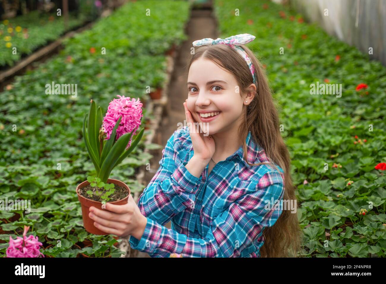 happy teen girl florist care pot plants in greenhouse, summer Stock ...