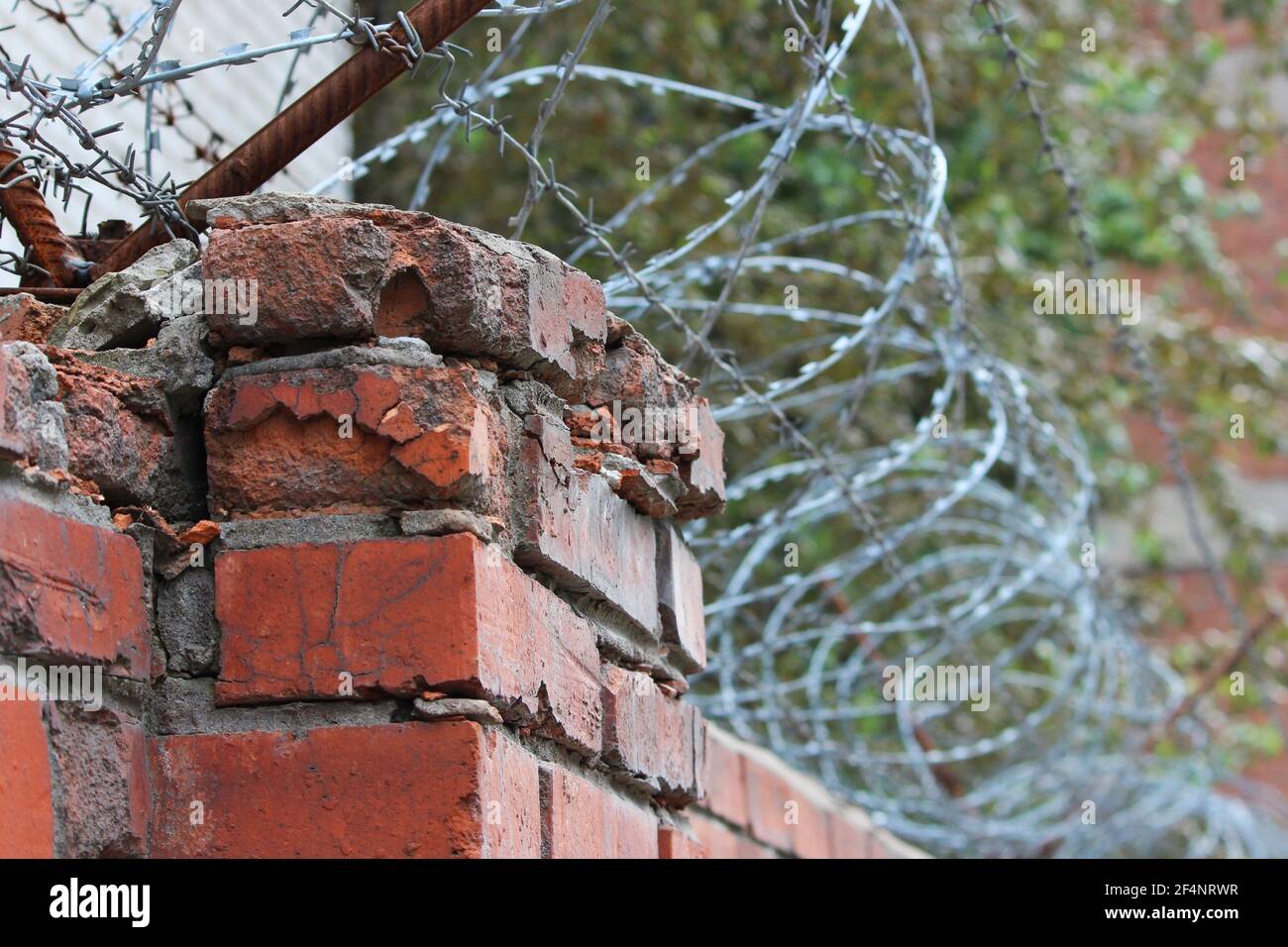 barbed wire on a brick wall. Prison and freedom concept Stock Photo - Alamy