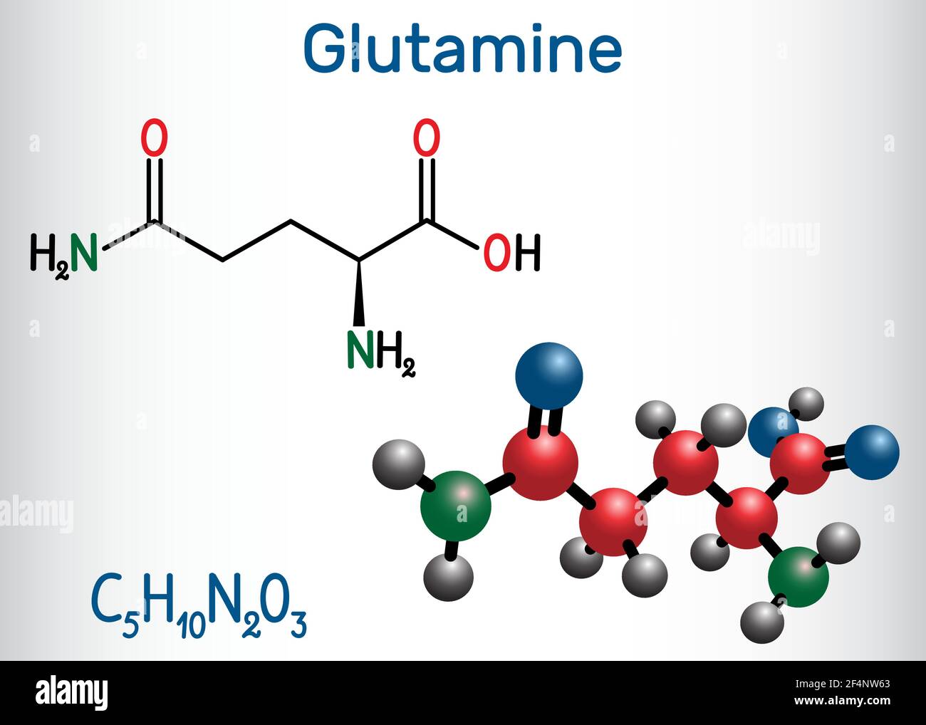 Glutamine (Gln , Q) amino acid molecule. Structural chemical formula and  molecule model. Vector illustration Stock Vector Image & Art - Alamy