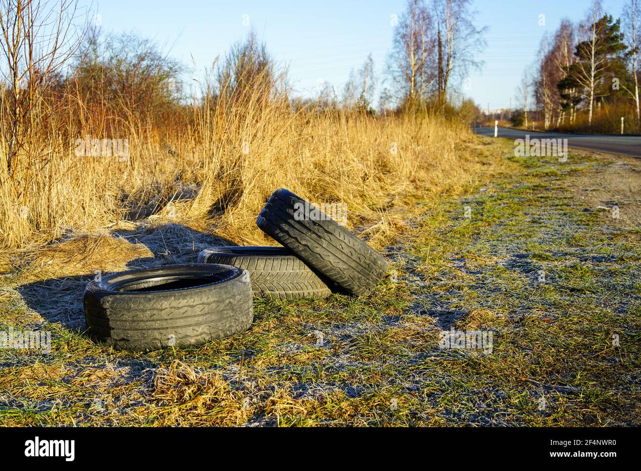 used car tires dropped on the side of the road, precedent for nature