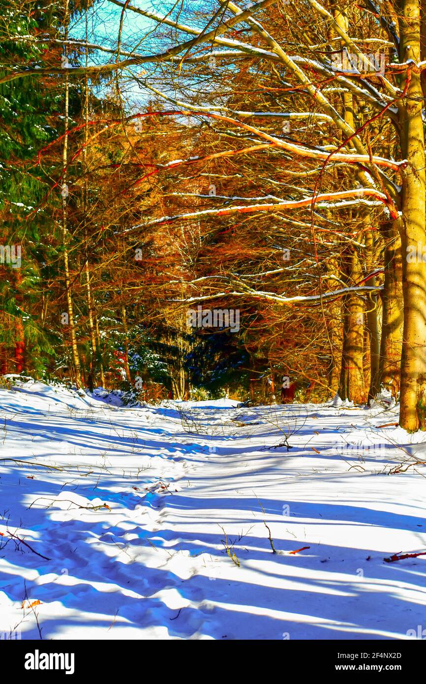Winterzeit Stock Photo