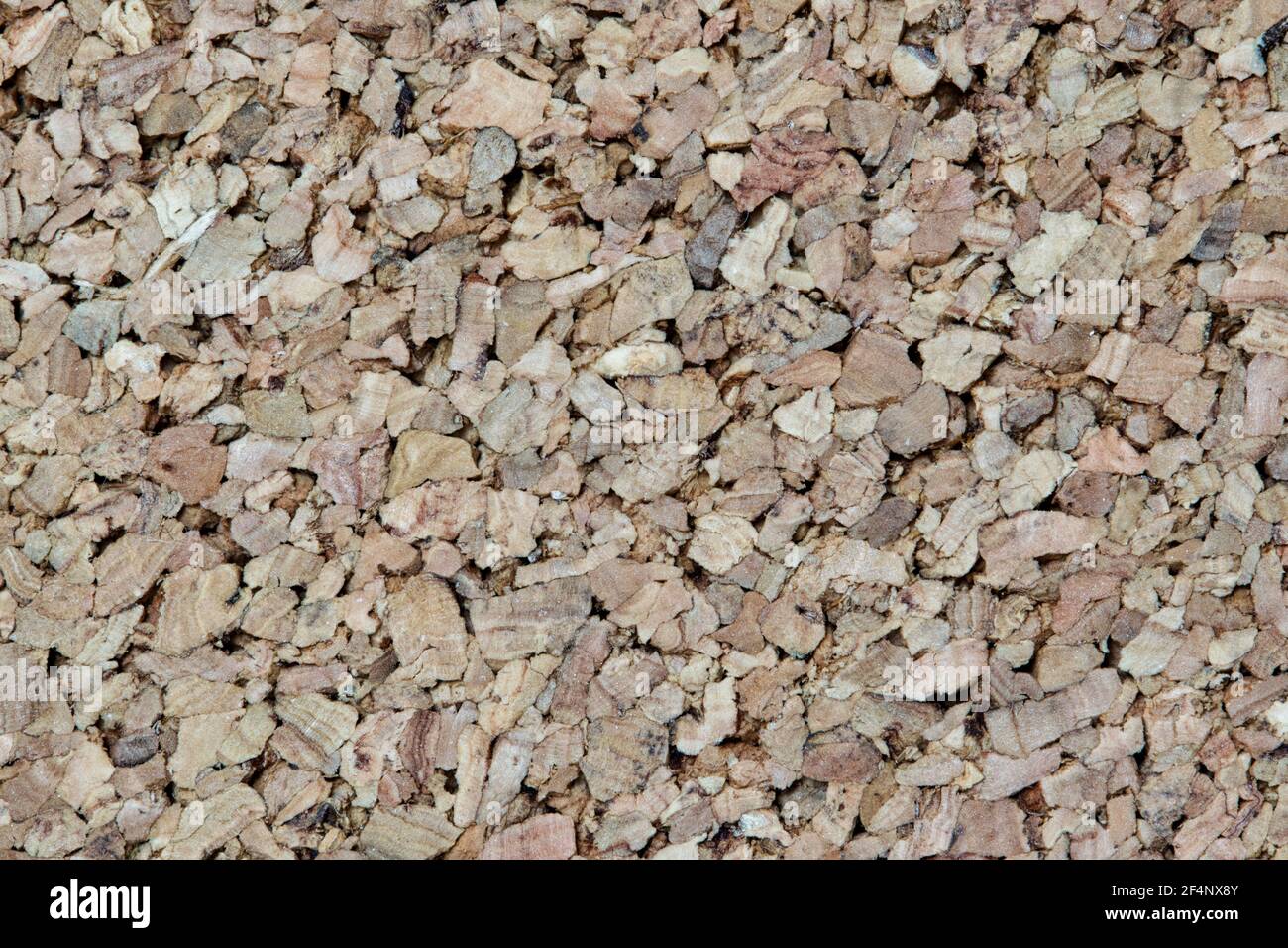 Corkwood background macro detailed image. Buoyant material from the Cork Oak tree (Quercus suber) that is used for a number of applications. Stock Photo