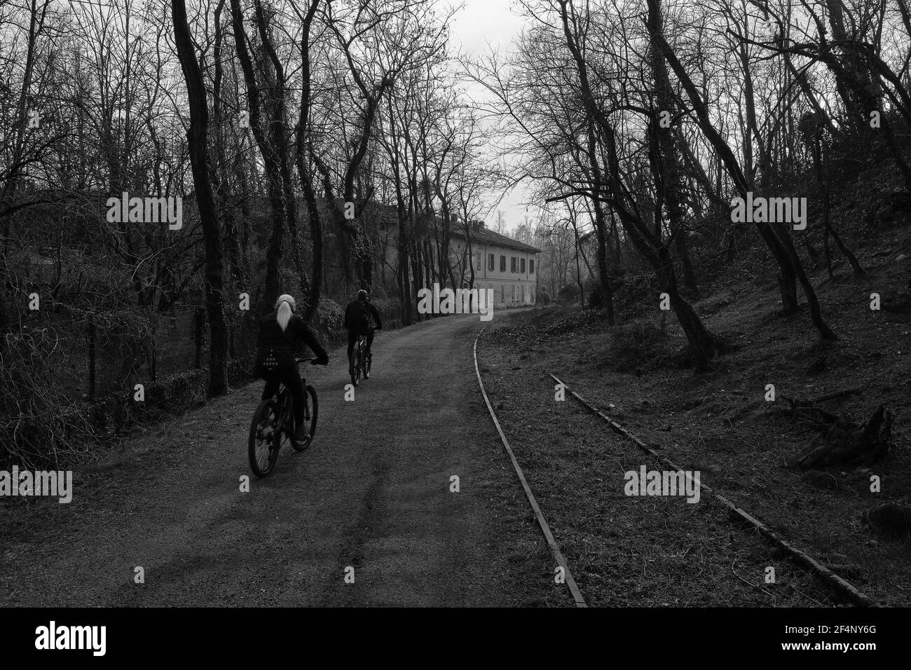 A bike ride through the woods Stock Photo