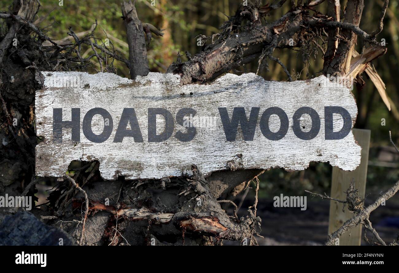 Hoads wood hi-res stock photography and images - Alamy