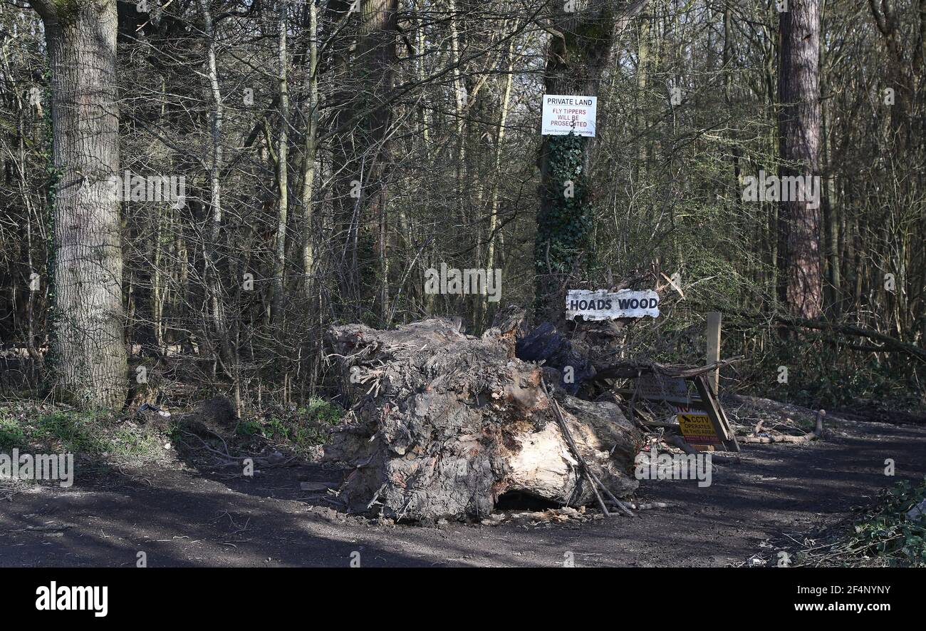 Hoads wood hi-res stock photography and images - Alamy