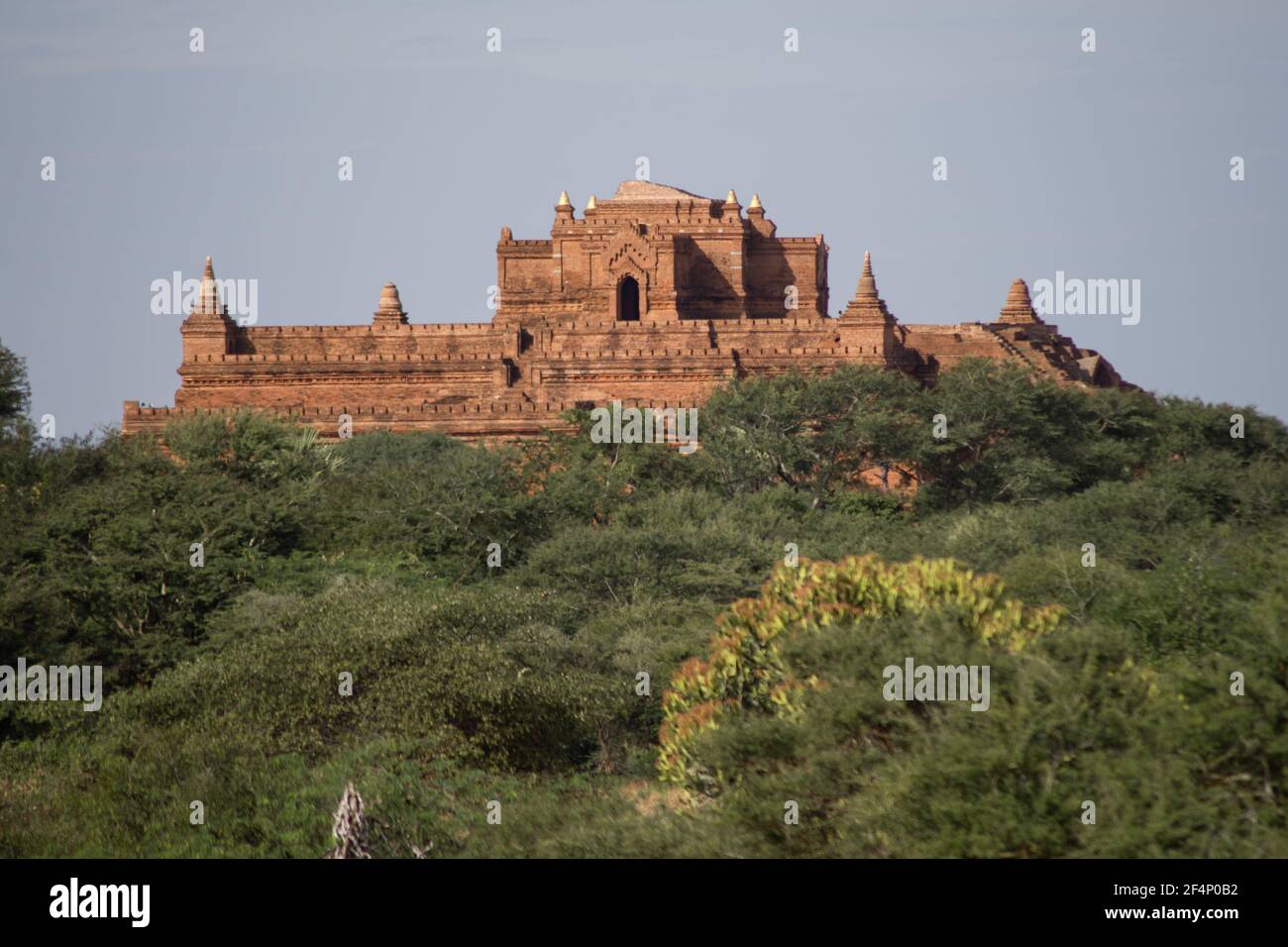 BAGAN, NYAUNG-U, MYANMAR - 3 JANUARY 2020: A huge old and historical temple pagoda upon a hill above the tree vegetation Stock Photo