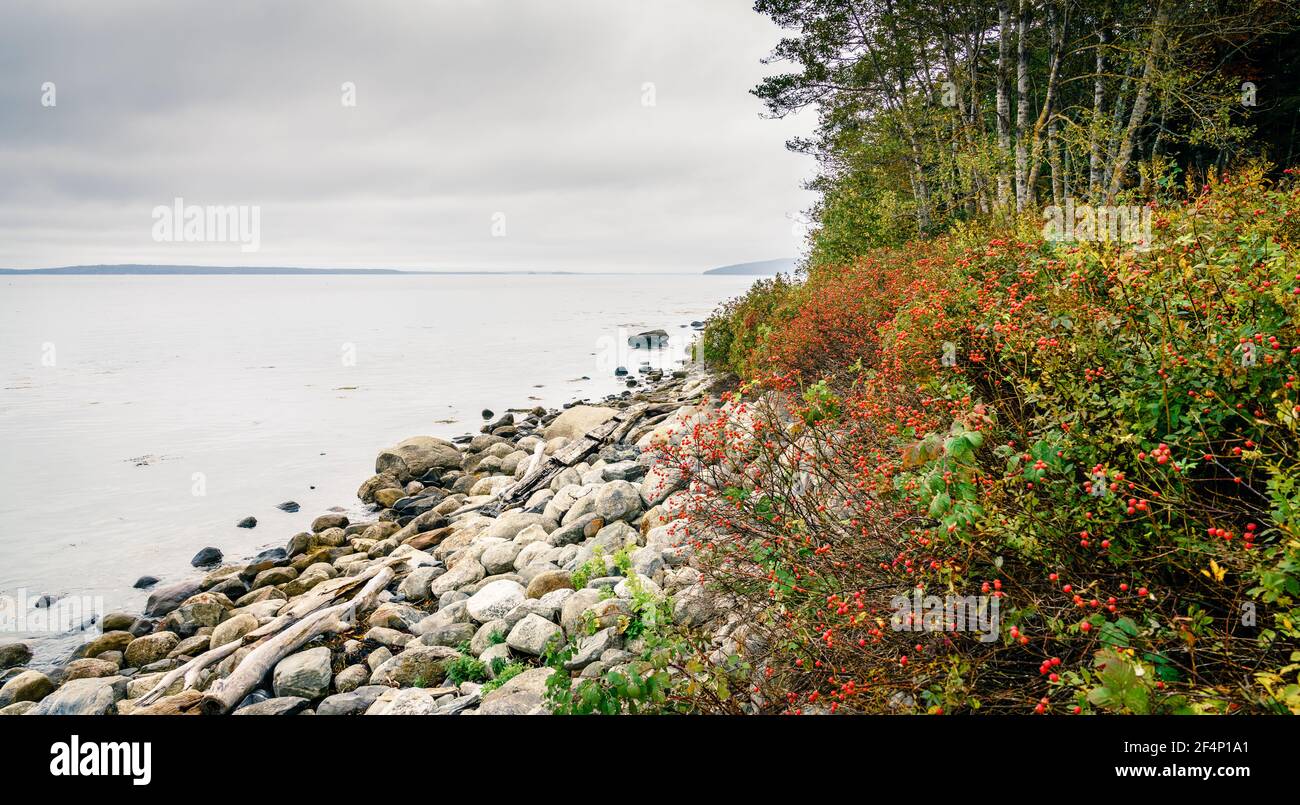 Coastline of Maine, New England at Moose Point State Park in fall Stock Photo