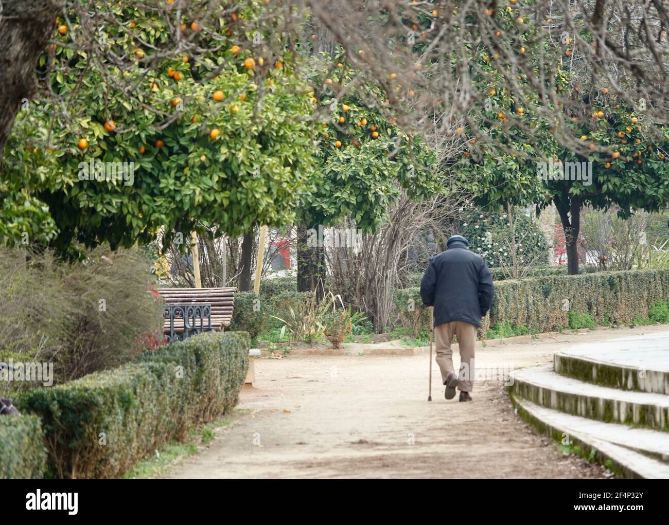 Man walking park alone hi-res stock photography and images - Alamy