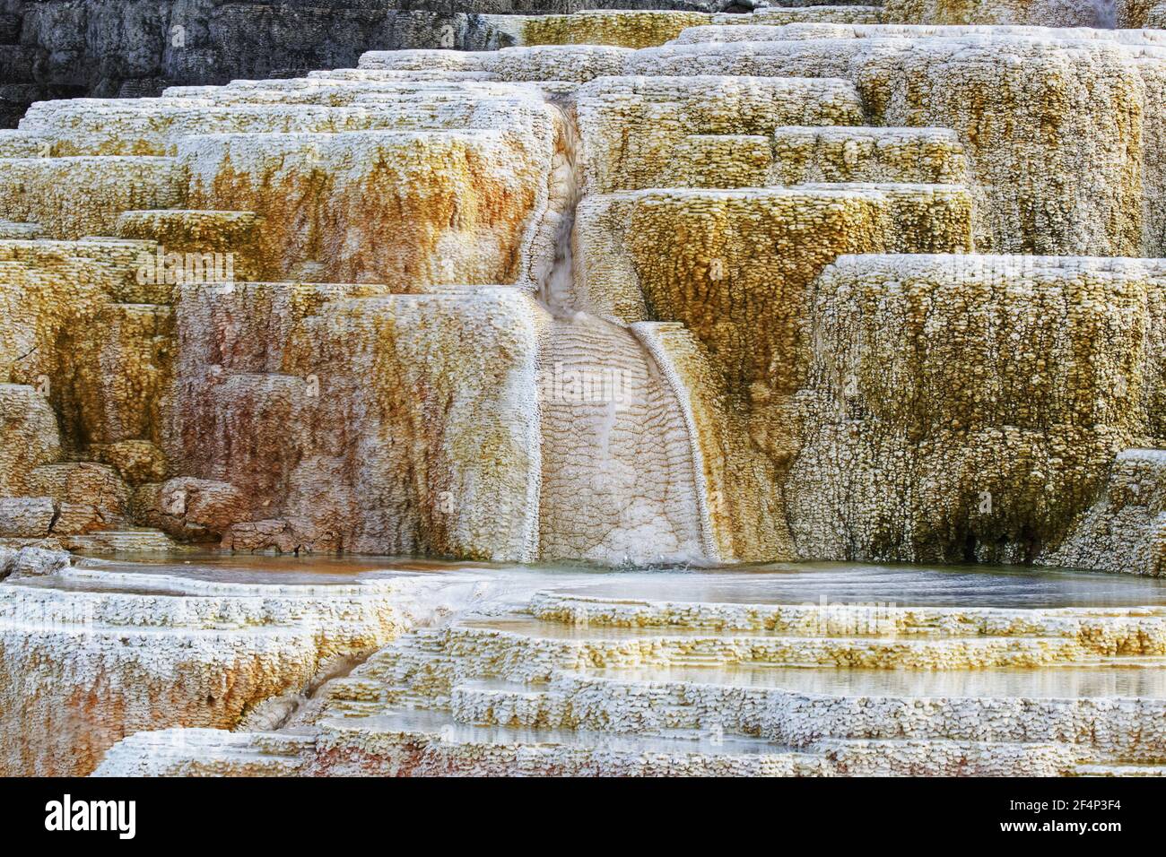 Palette Spring - Terrace detailMammoth Springs Yellowstone National Park Wyoming. USA LA006983 Stock Photo