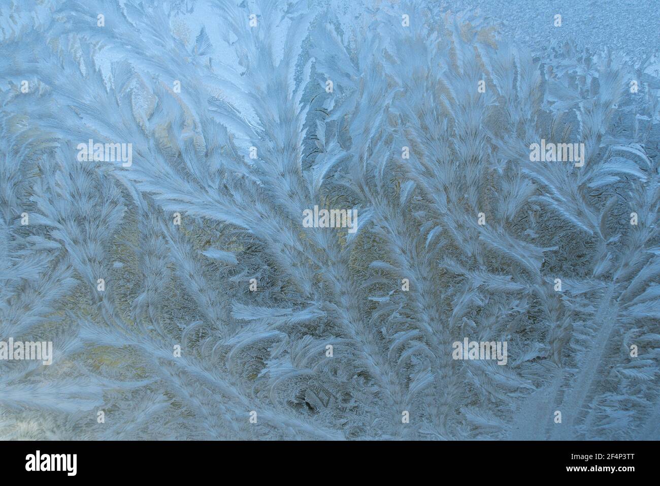 patterns formed on frozen window pane Stock Photo