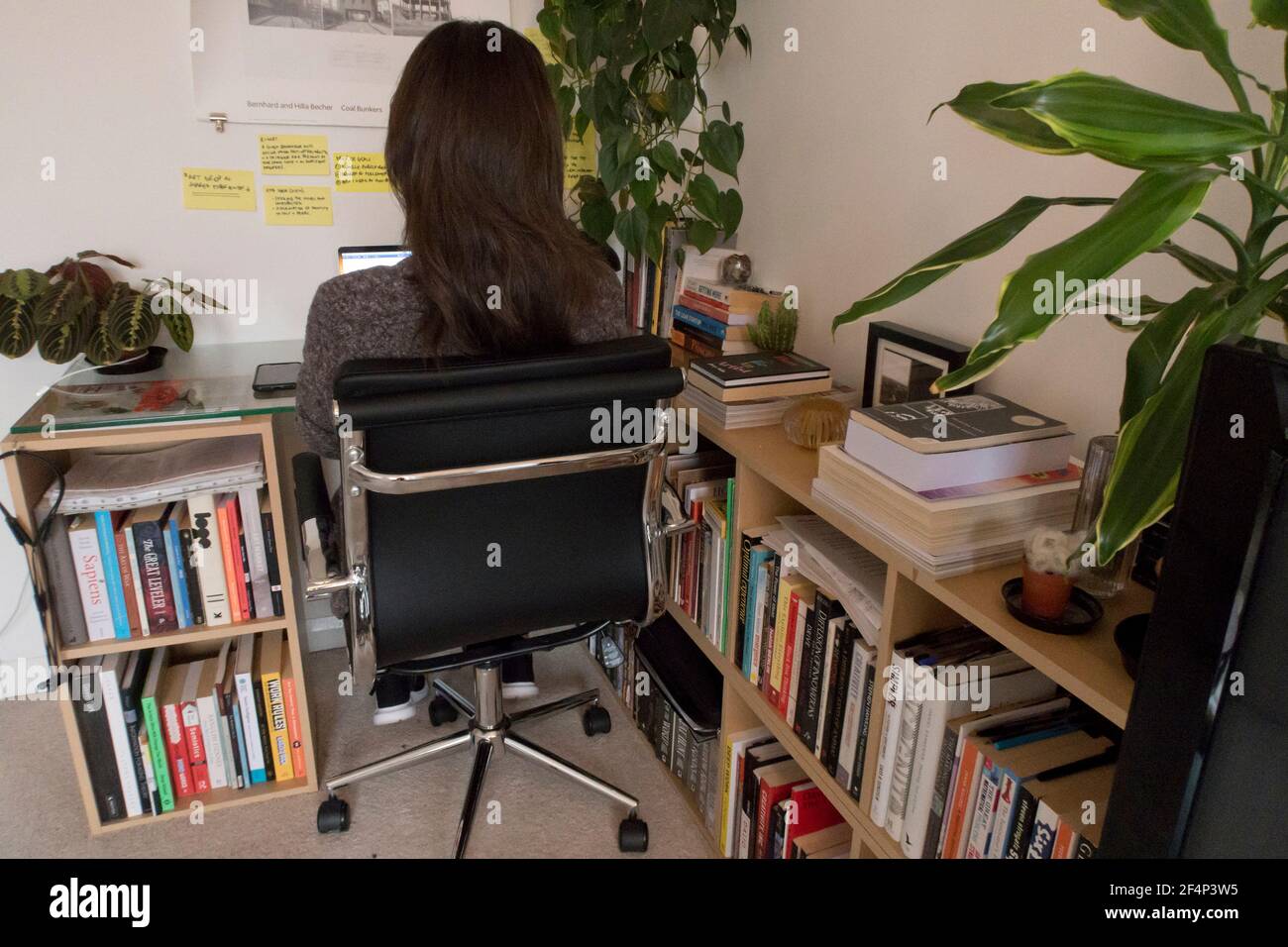 woman working from home Stock Photo