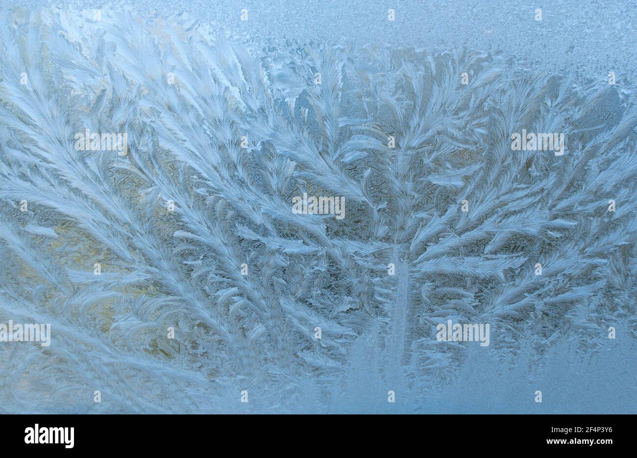patterns formed on frozen window pane Stock Photo