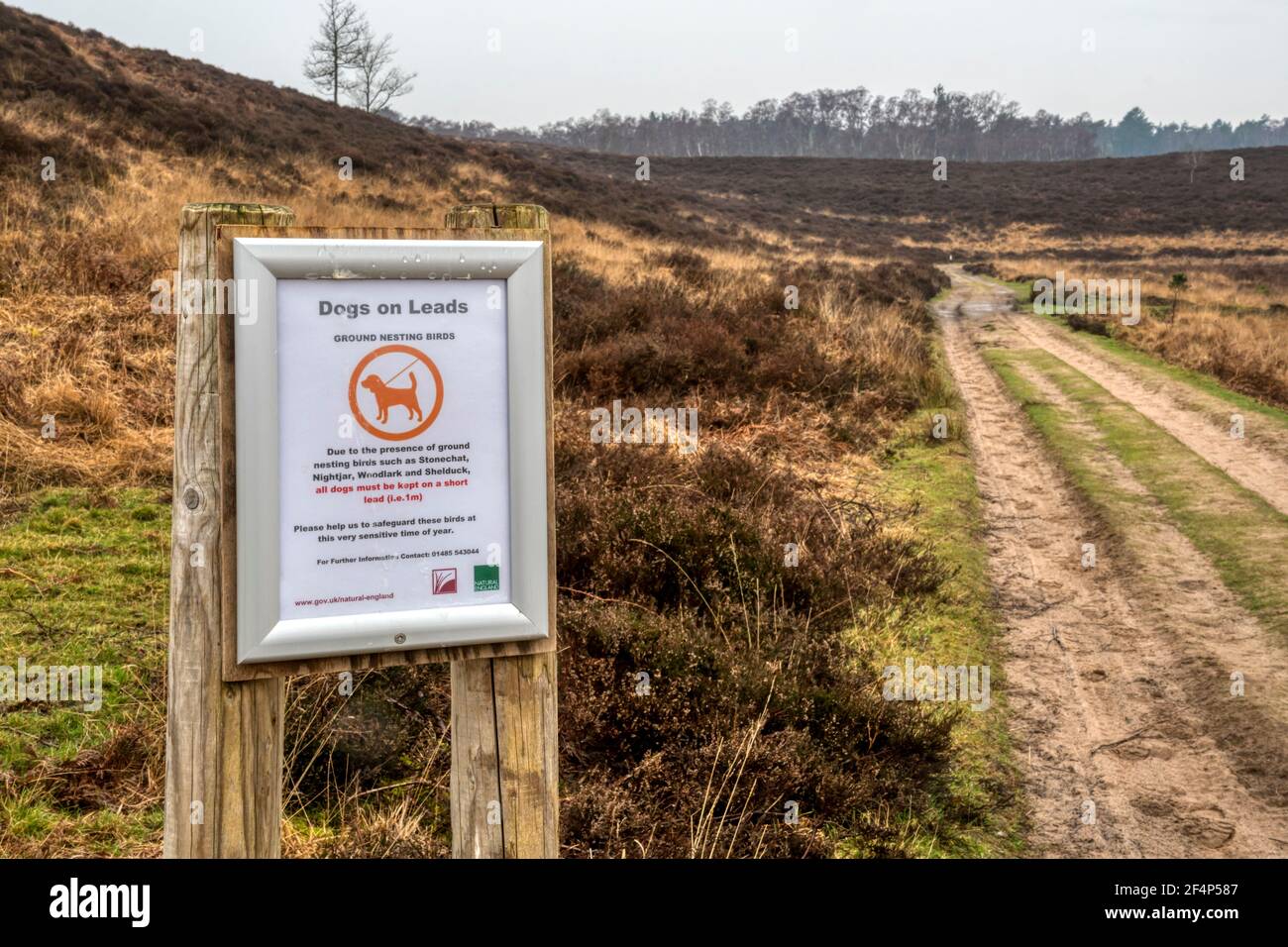 A sign at Dersingham Bog NNR warns that all dogs must be kept on a short lead to avoid disturbing ground nesting birds. Stock Photo