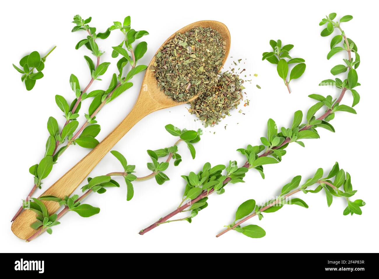 Oregano or marjoram leaves fresh and dry isolated on white background with clipping path. Top