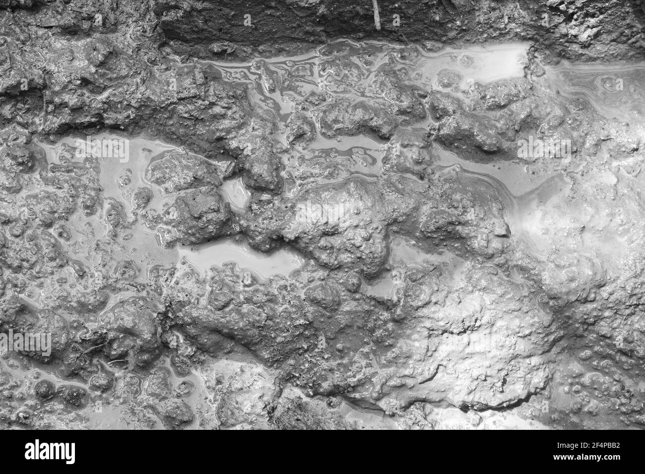 Dirty Mud texture or wet gray soil as natural background Stock Photo ...