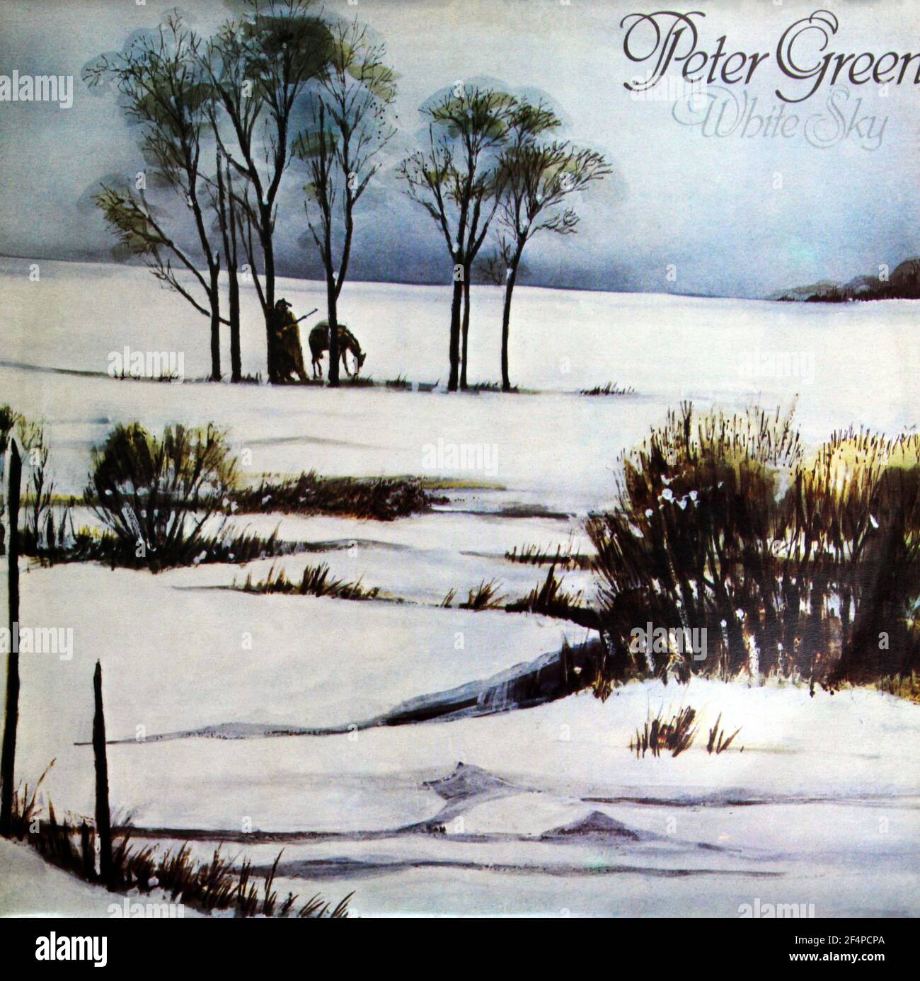 Peter Green: 1982. LP front cover: White Sky Stock Photo