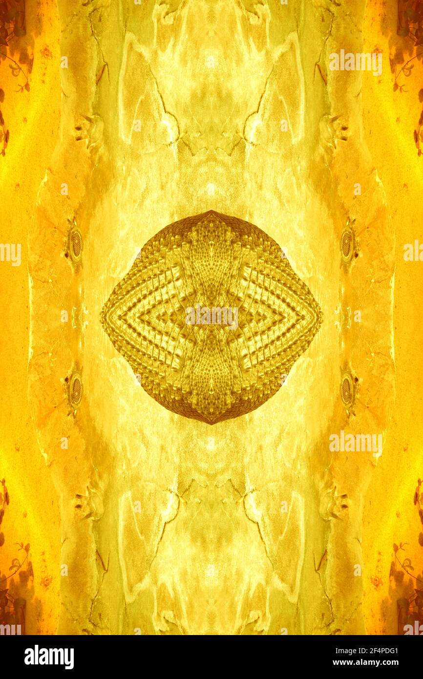 Snake art wallpaper hi-res stock photography and images - Alamy Snake art wallpaper hi-res stock photography and images - Alamy