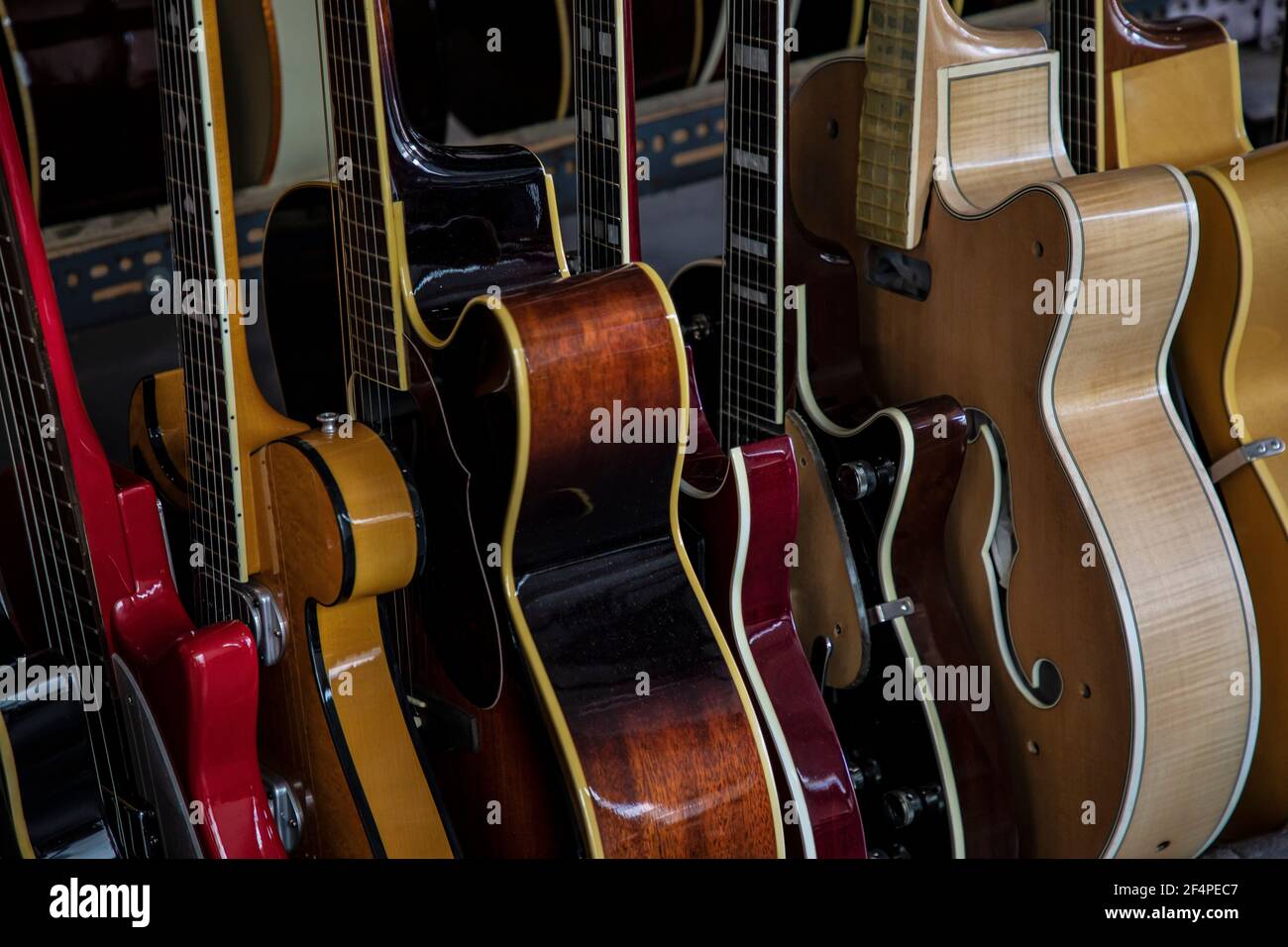 Guitar shop 2024 in dadar
