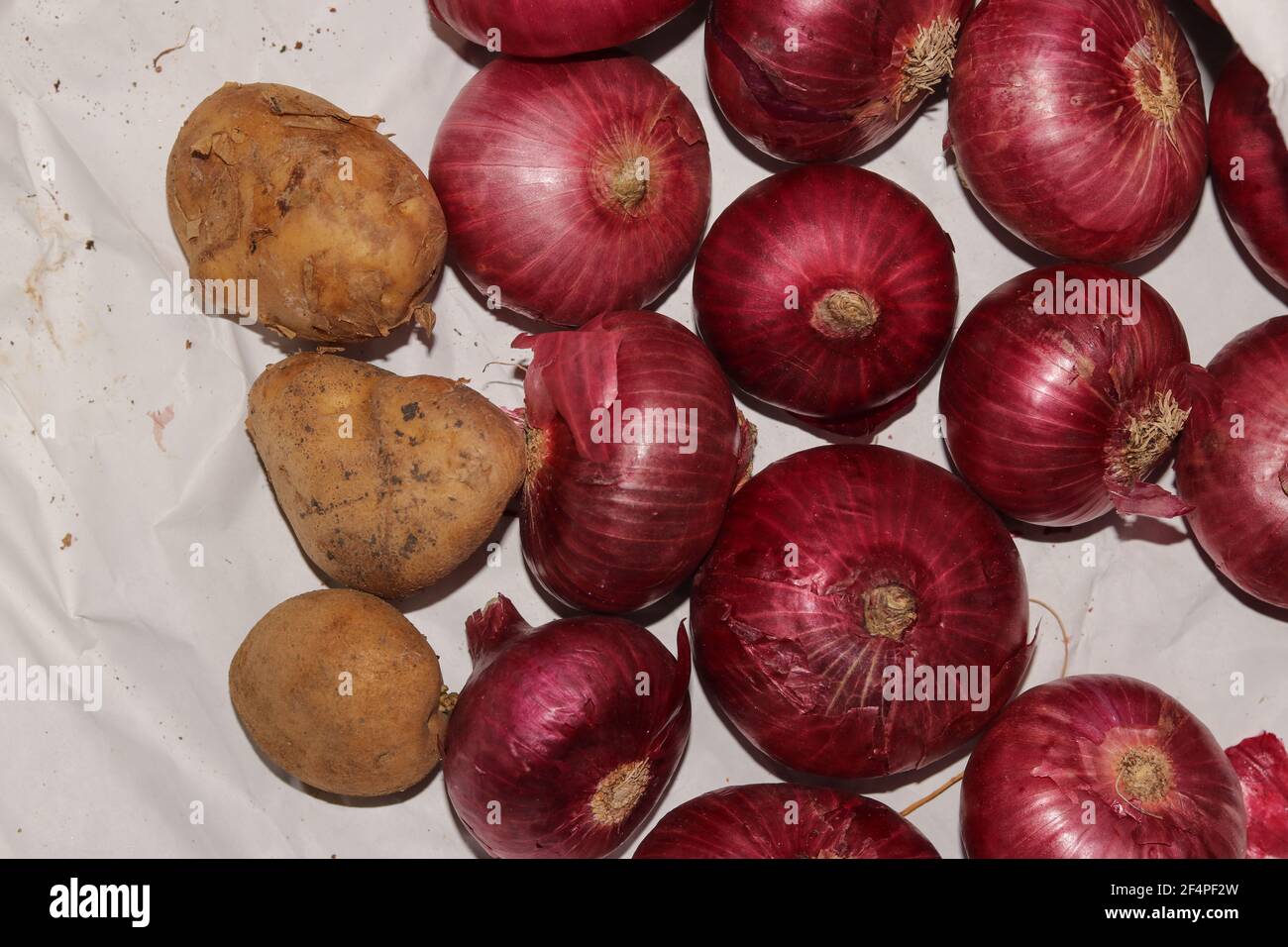 Shot lots red onions hi-res stock photography and images - Alamy