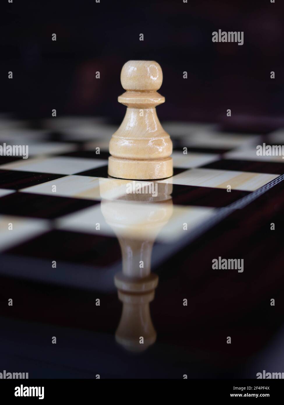 Chess Pieces On Chessboard Symbolic Meaning Stock Photo 1569675184