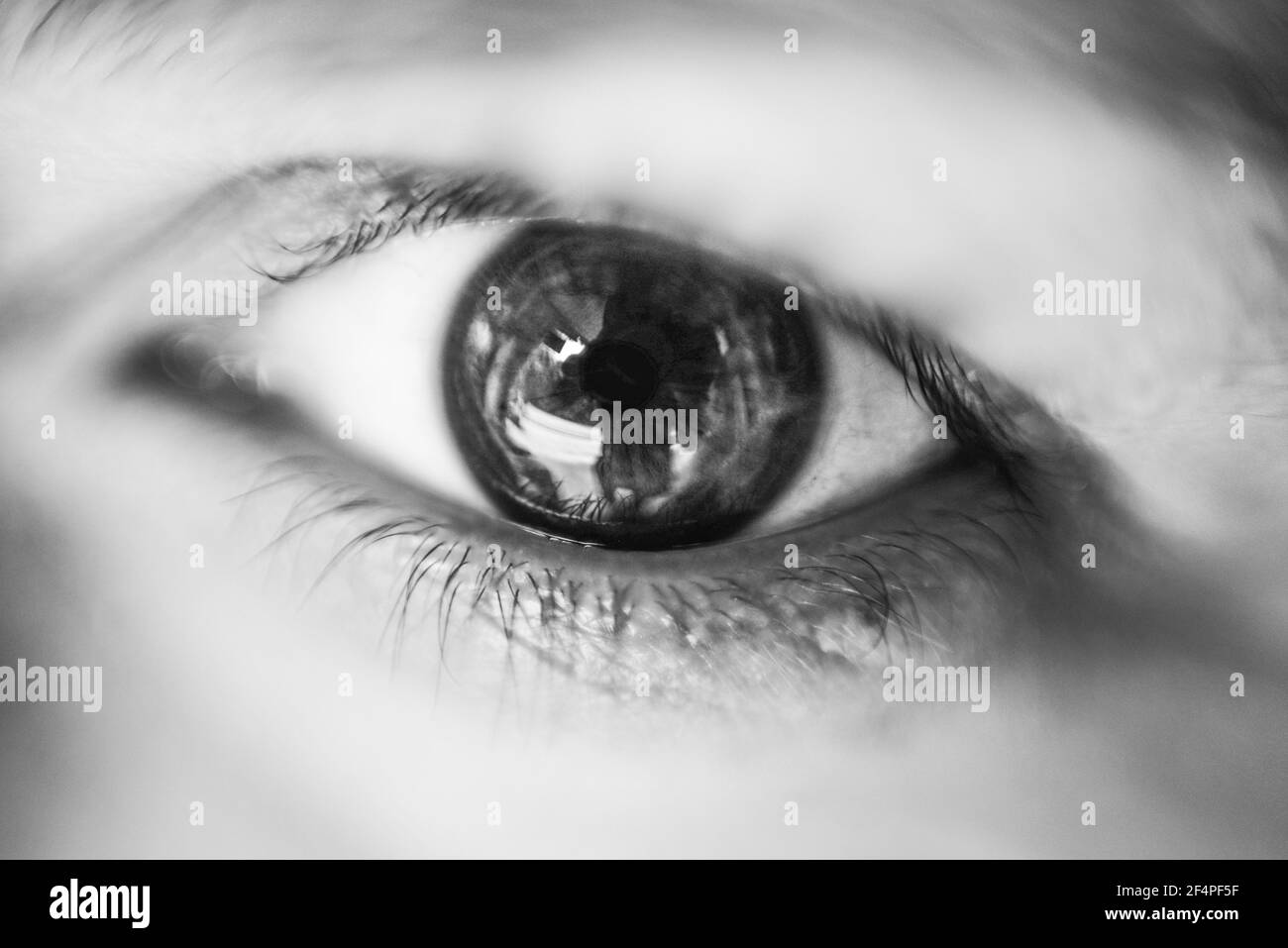 Grey eyes woman Black and White Stock Photos & Images Alamy