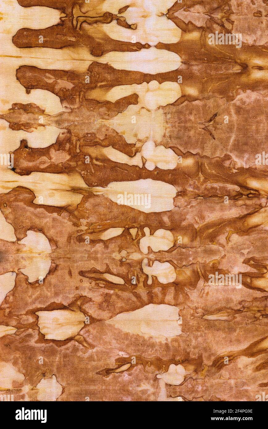 detail of a pattern in brown-ocher batik on a cotton fabric Stock Photo ...