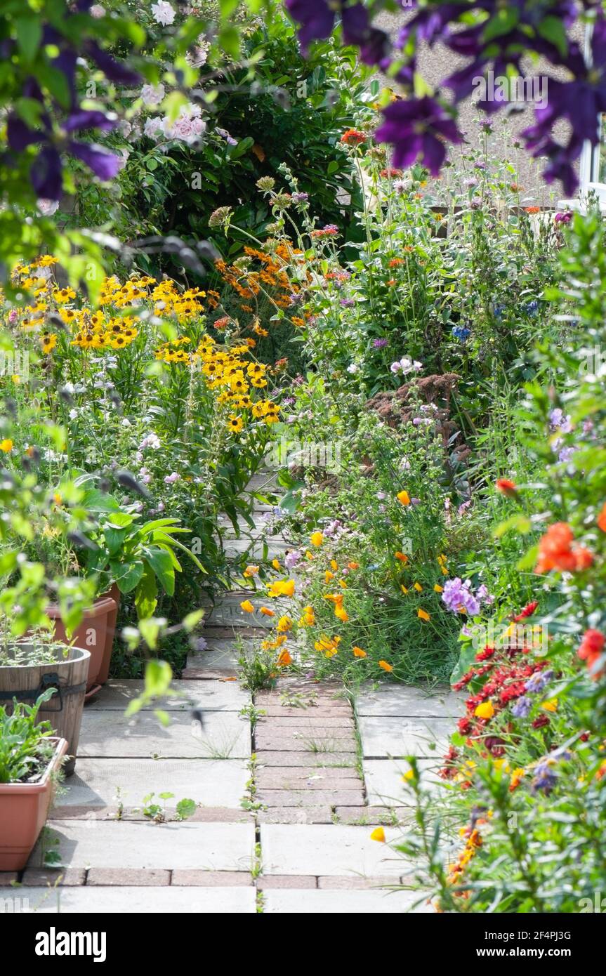 Pretty cottage garden path in Summer with colourful flowers spilling onto path. Stock Photo
