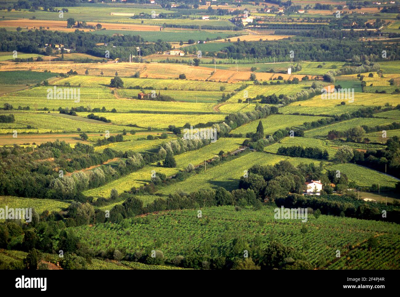 Fertile farmland in the Valdarno region of Tuscany, Italy Stock Photo
