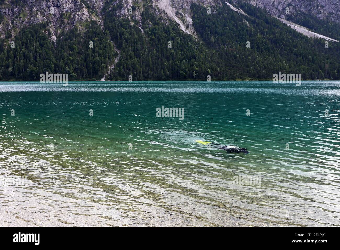 A diver in the Plansee in Austria. A diver in the turquoise blue water of the Plansee Stock Photo