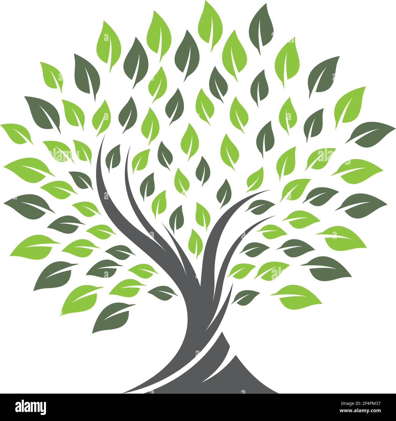 Tree of life template Stock Vector Images - Alamy