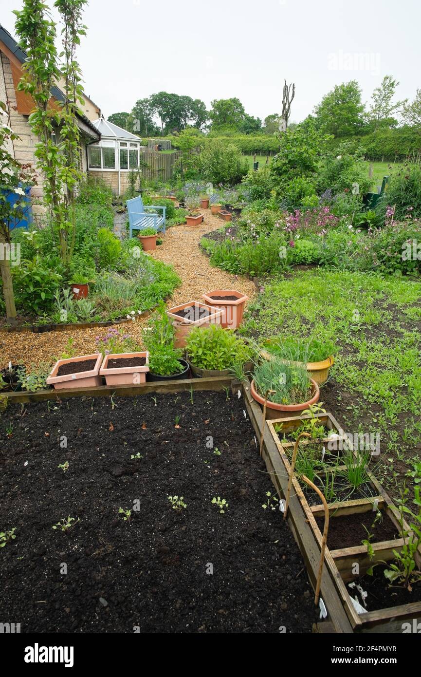 A private UK cottage style Summer garden  coming into bloom with raised bed and pots in foreground. Stock Photo