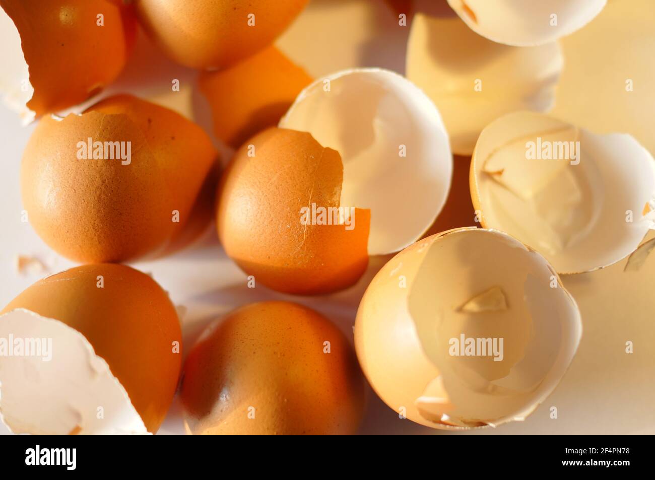 Chicken egg shells. Crushed chicken eggs. Natural compost eggshells