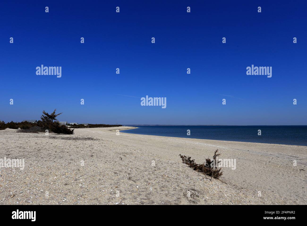 Gardiners Bay East Hampton Long Island New York Stock Photo Alamy