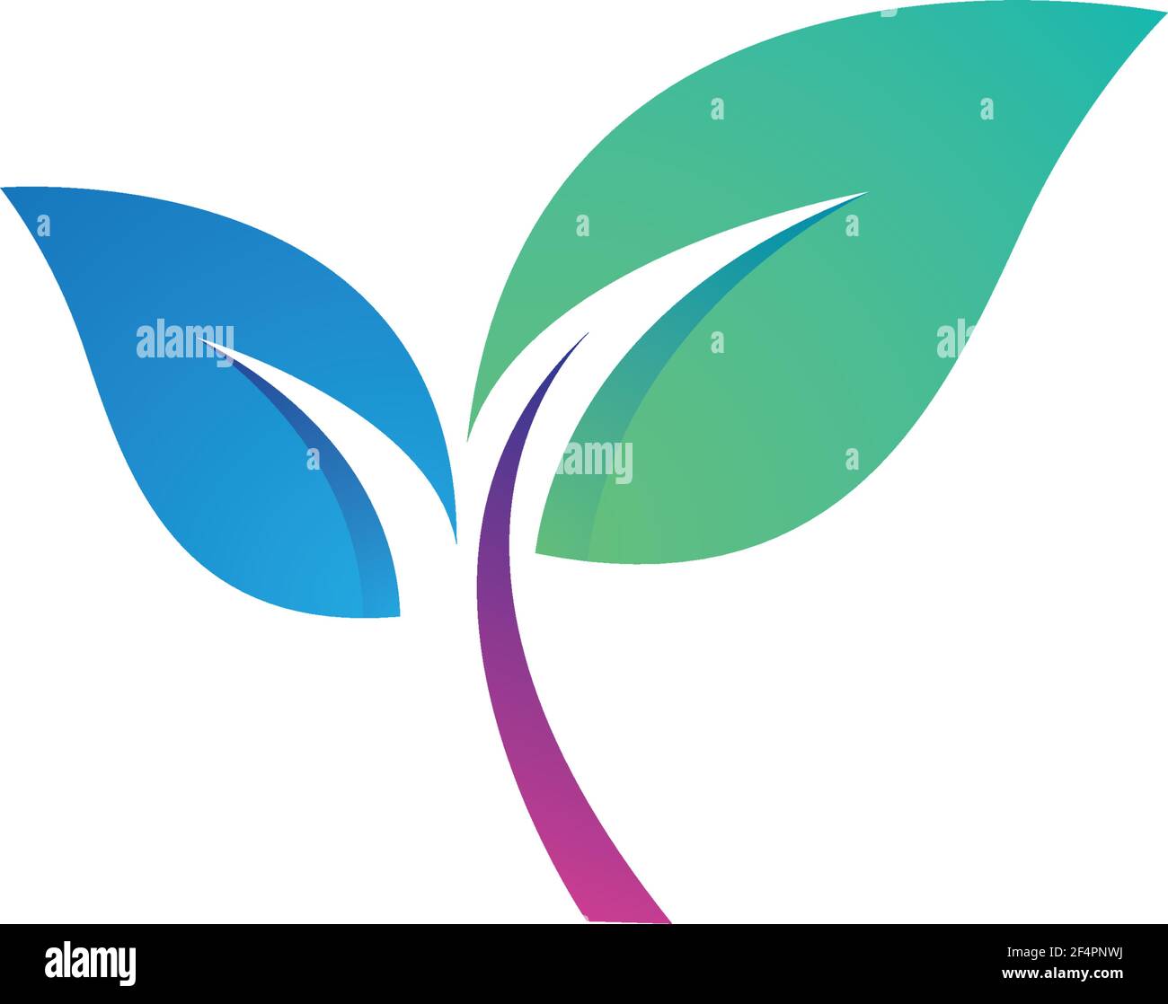 Leaf logo images Stock Vector