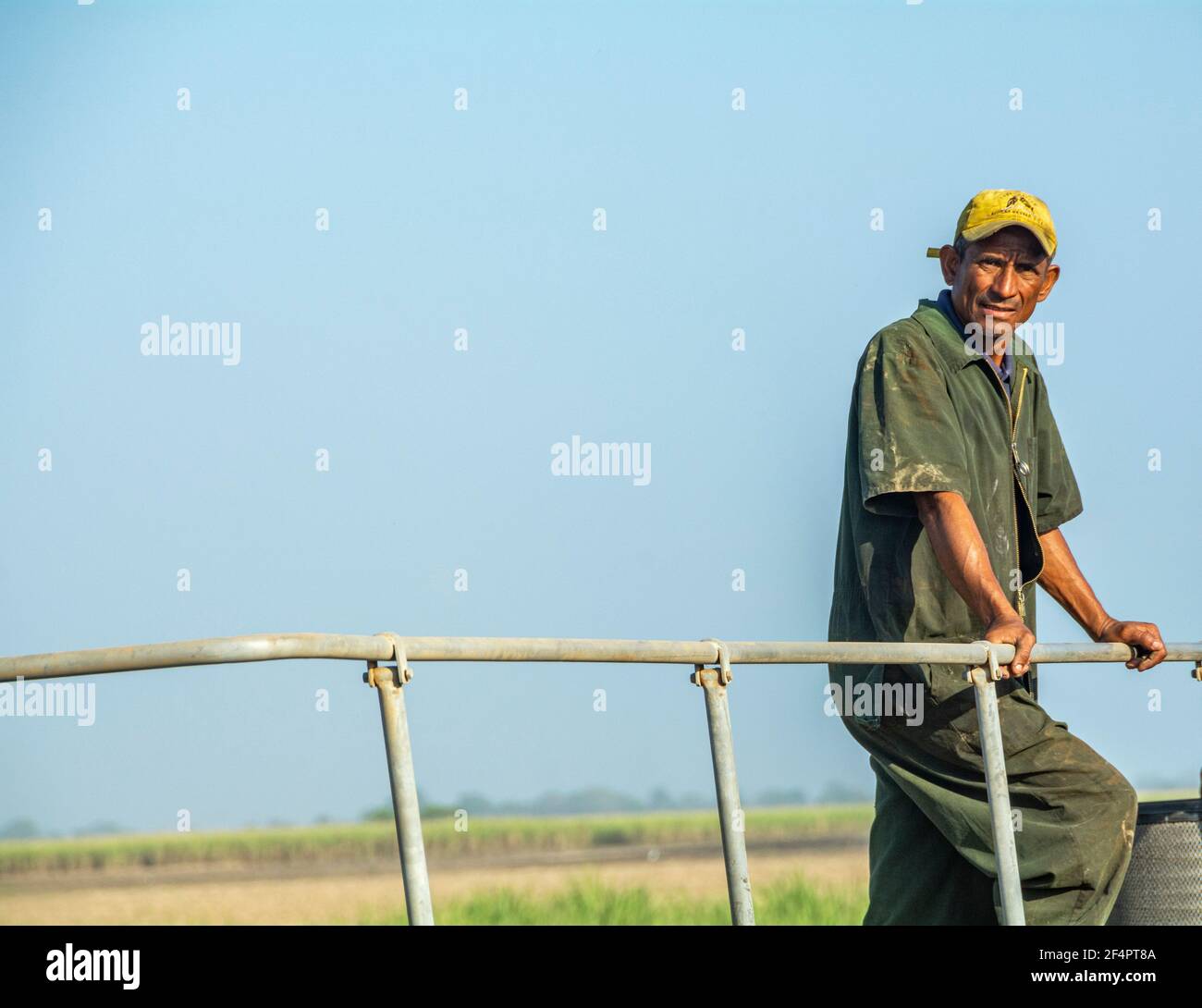 Sugar cane plantation workers. Some plantations in Venezuela are no longer being harvested due to the shortage of diesel fuel. Stock Photo