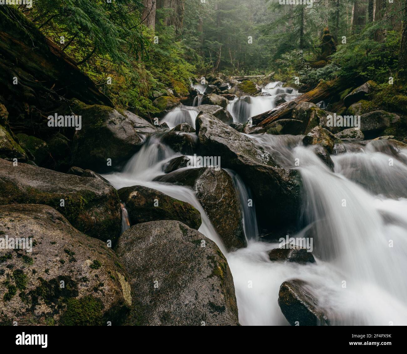 Talapus Creek Landscape - Central Cascades, Washington. Stock Photo