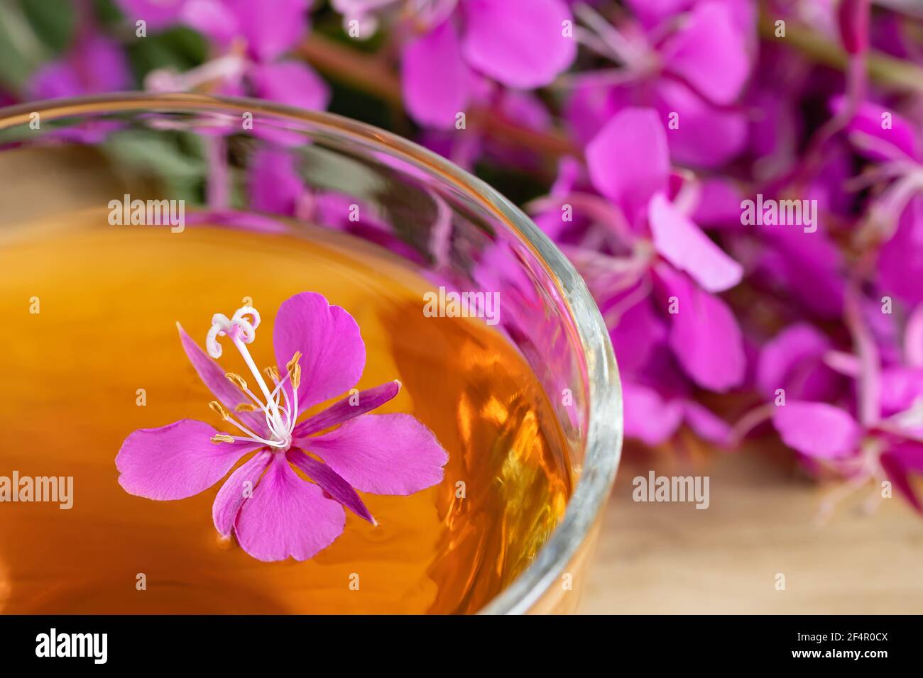 Fireweed herb known as blooming sally and tea in a cup Stock Photo