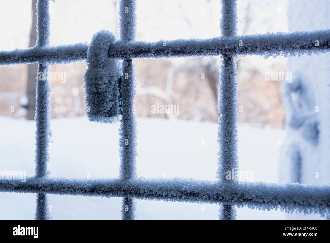 Metal fence with lock covered with hoarfrost Stock Photo