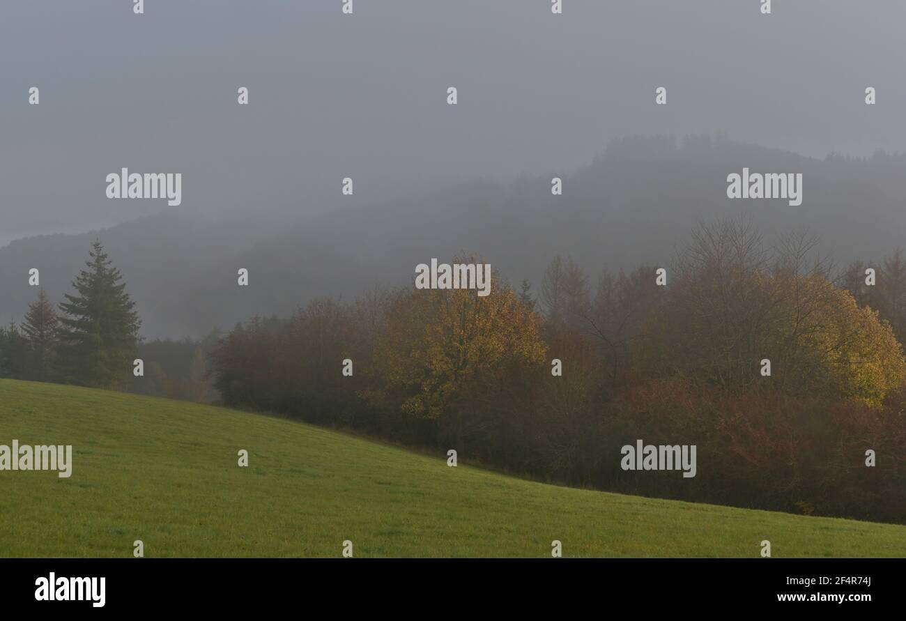 Fog clears in the Eifel Stock Photo