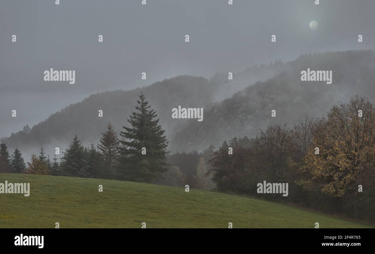 Fog clears in the Eifel Stock Photo