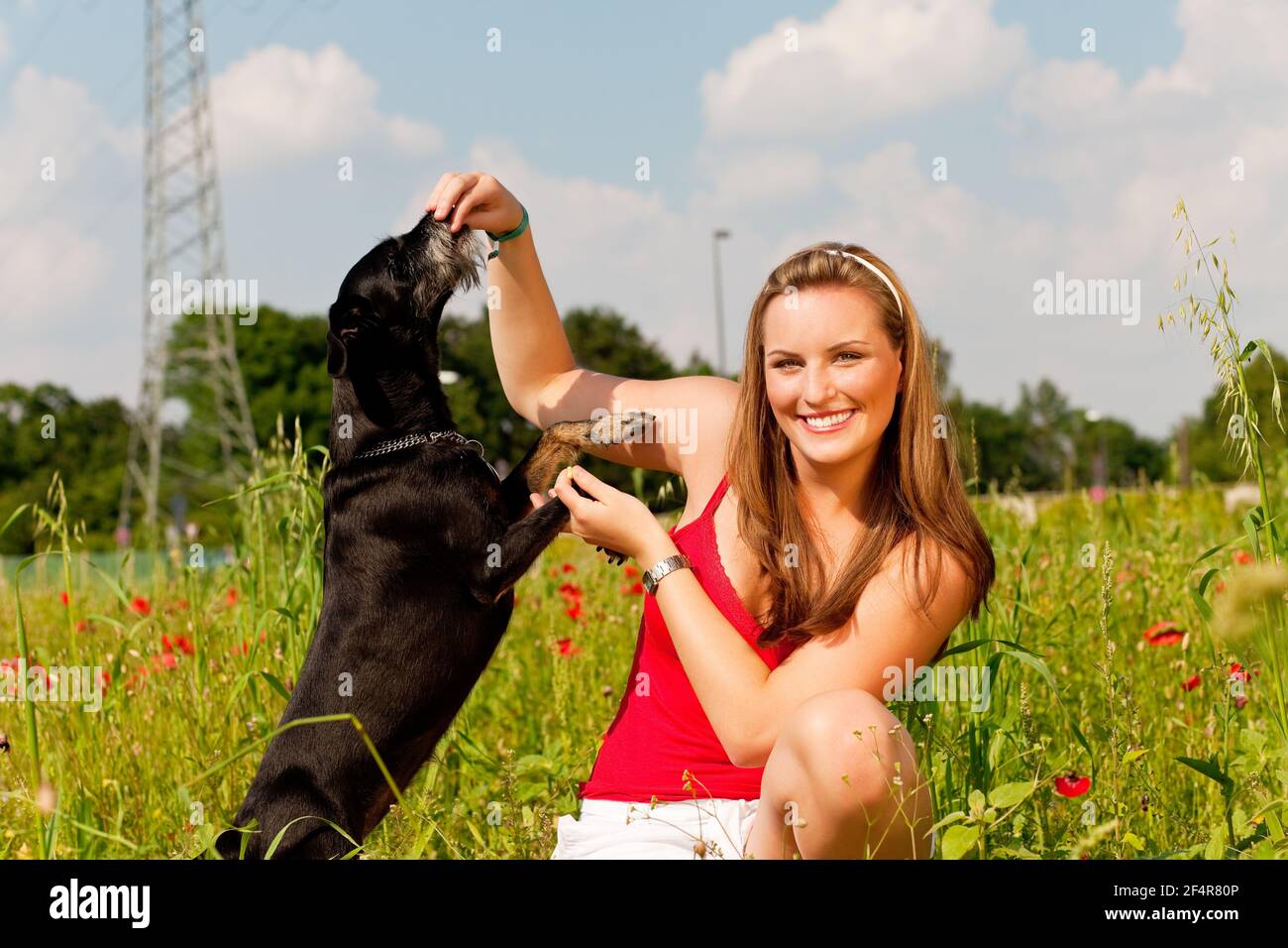 Woman does outdoor stretching with her personal trainer on a great summer d...