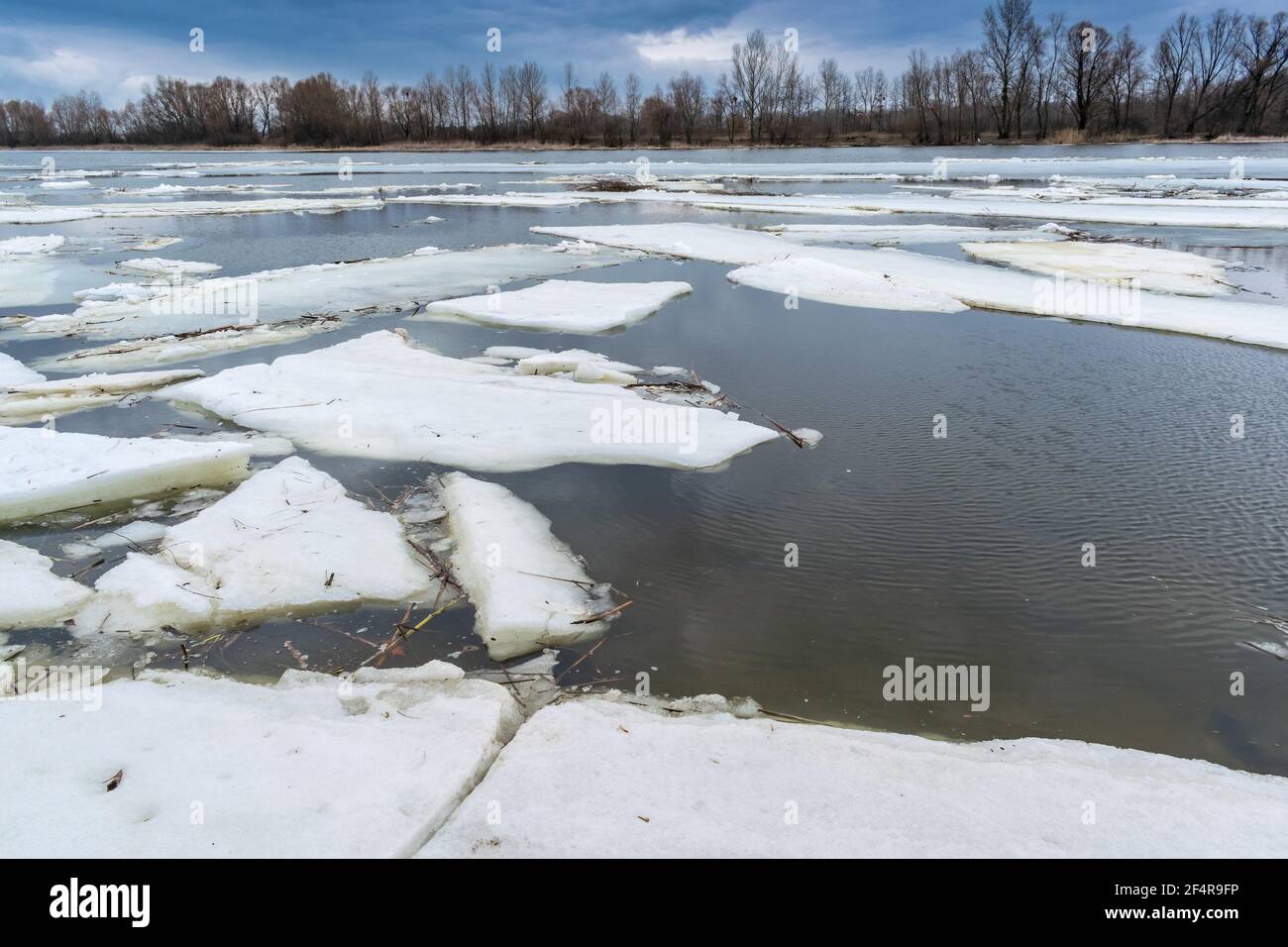 Drift floating ice hires stock photography and images Alamy