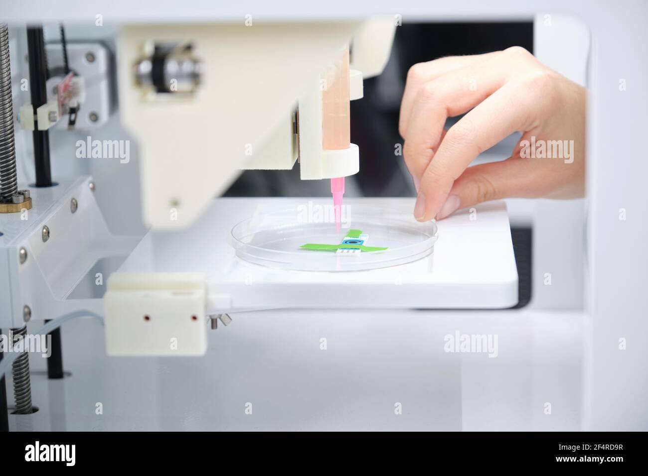 Researcher getting 3D bioprinter ready to 3D print cells onto an electrode. Biomaterials, tissue engineering concepts. Stock Photo