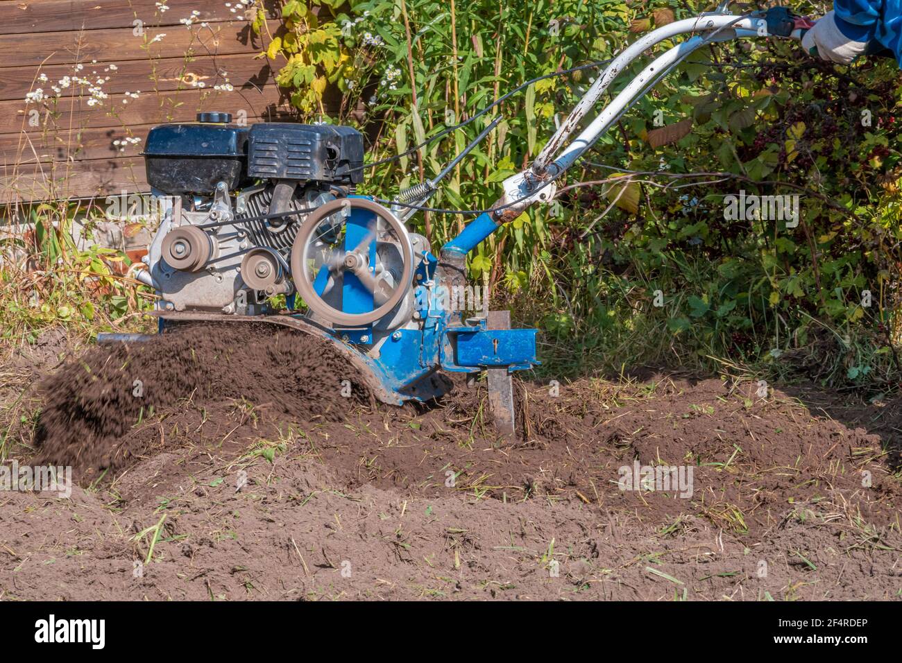 An unrecognizable farmer plows the land with a hand-held motor plow. Agricultural machinery: cultivator for tillage in the garden, motorized hand plow Stock Photo
