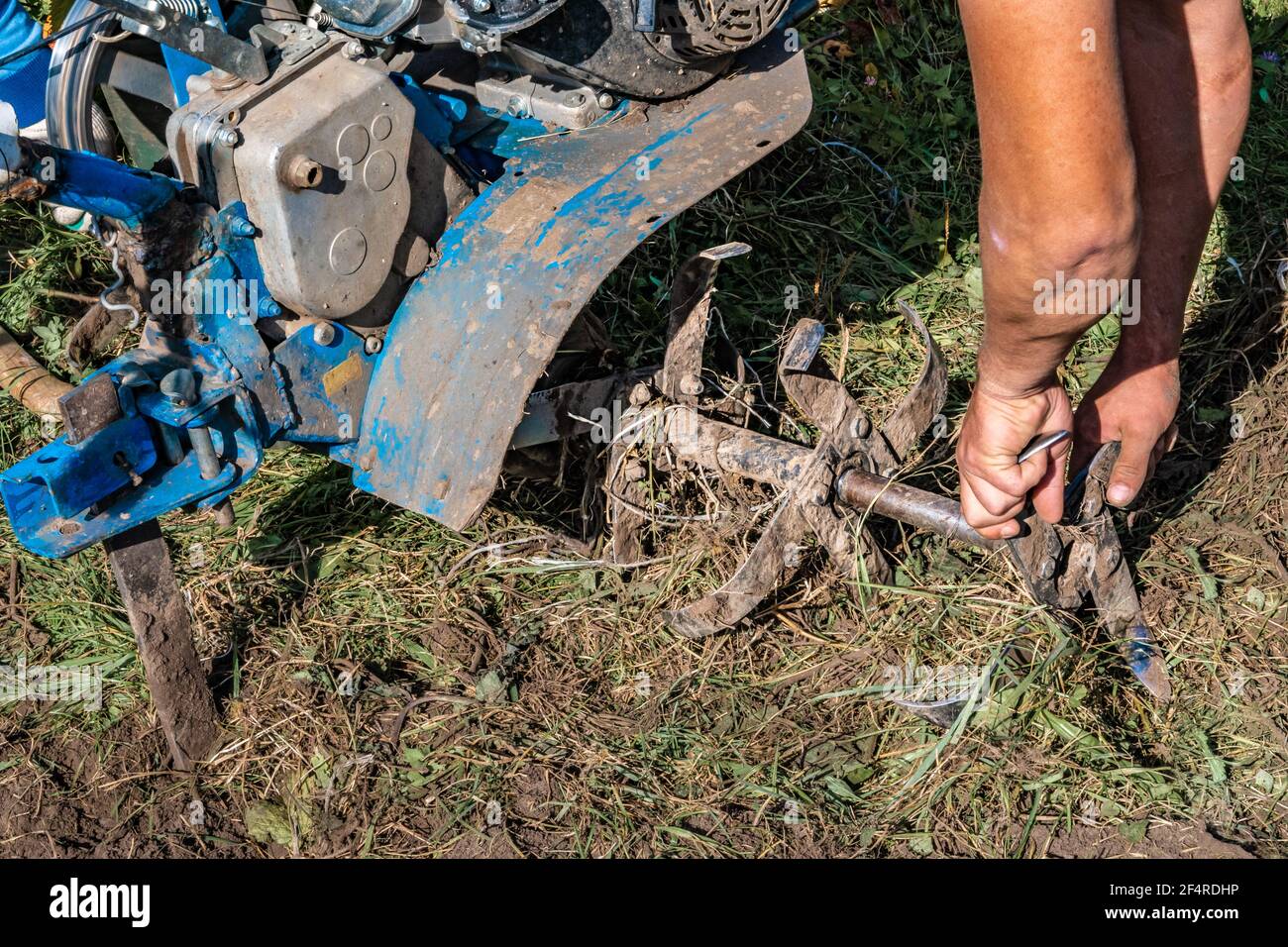 An unrecognizable farmer repairs a hand-held motor plow. Agricultural machinery: cultivator for tillage in the garden, motorized hand plow. Authentic Stock Photo